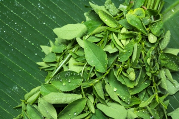 TOP 15 món rau củ tốt cho phụ nữ sau sinh
