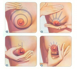 Mẹ sữa massage đầu ti như thế nào để sữa về nhanh nhất?
